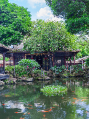 顺德潮玩